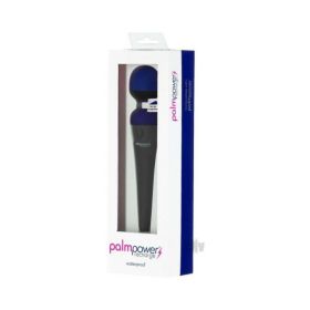 Palmpower Recharge Massager Blue