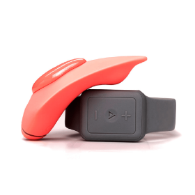 The Companion Remote Control Panty Vibe